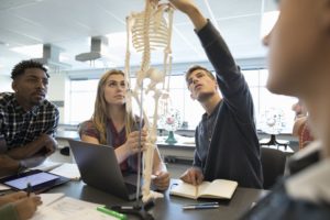 College students examining anatomy skeleton model in laboratory classroom