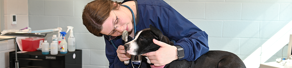 Veterinary Tech Program Student