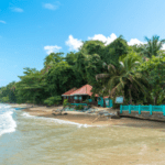 Cahuita-National-Park