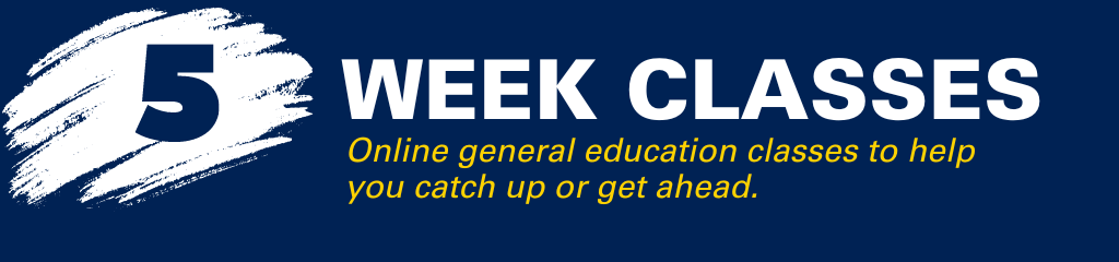 Mini-mester banner