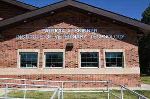 Institute of Veterinary Technology