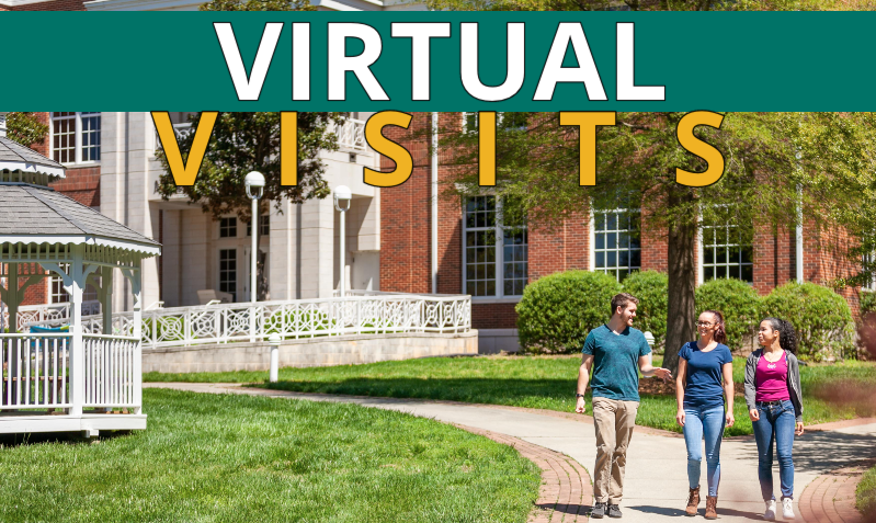 virtual visits graphic