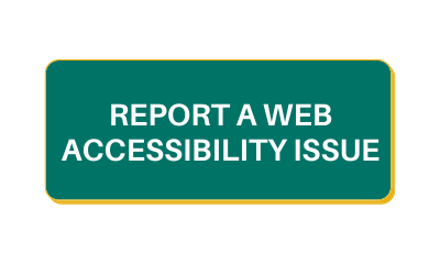 Report a Web Accessibility Issue