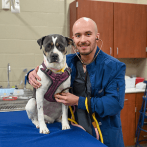 Vet Tech Student Tyler Russell in the Classroom