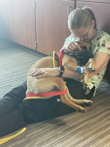 Andrea Gill, Vet Tech Instructor